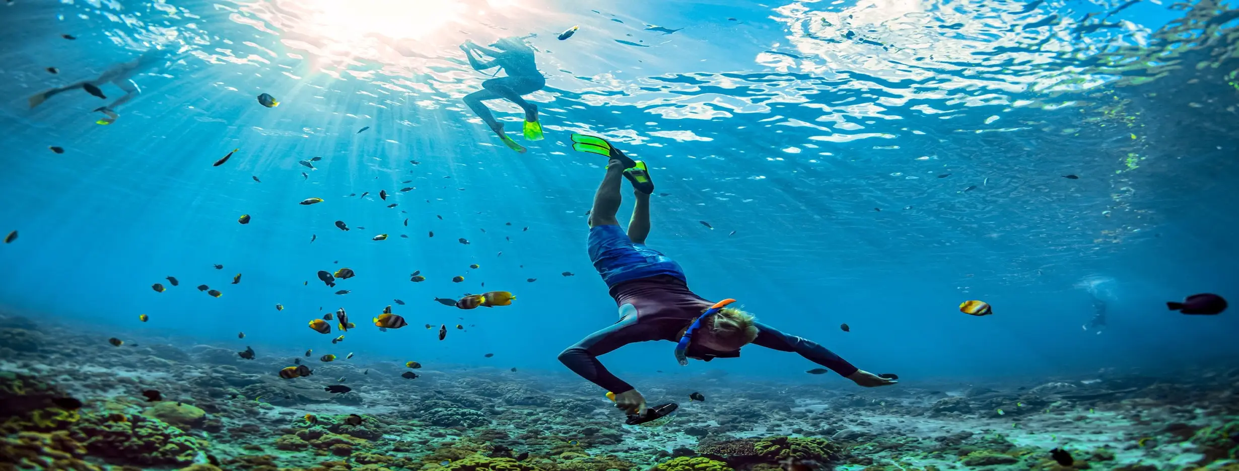 Image for Snorkeling Excursions